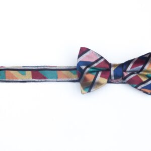 Silk Multi Colour Bow Tie The Regent